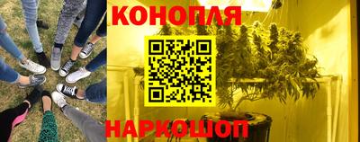 хмурый Дубна