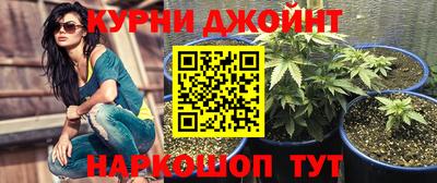 хмурый Дубна