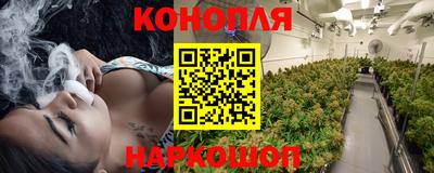 хмурый Дубна