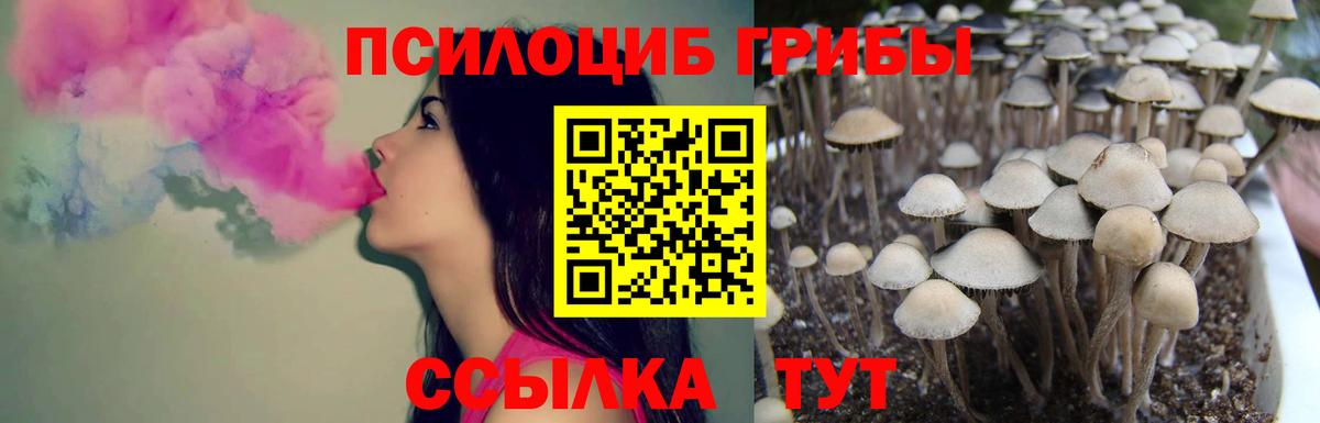 Лесной  Псилоцибиновые грибы Magic Shrooms  Вход с VPN 